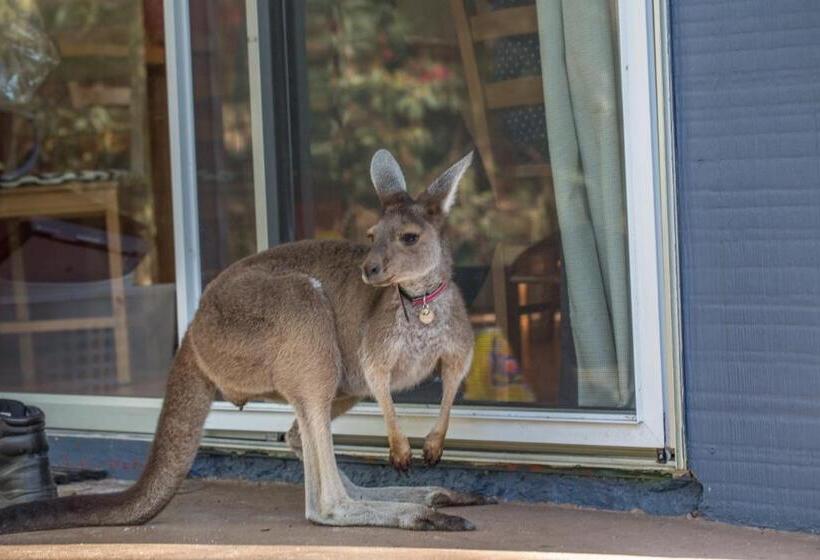 فندق Kerriley Park Farmstay
