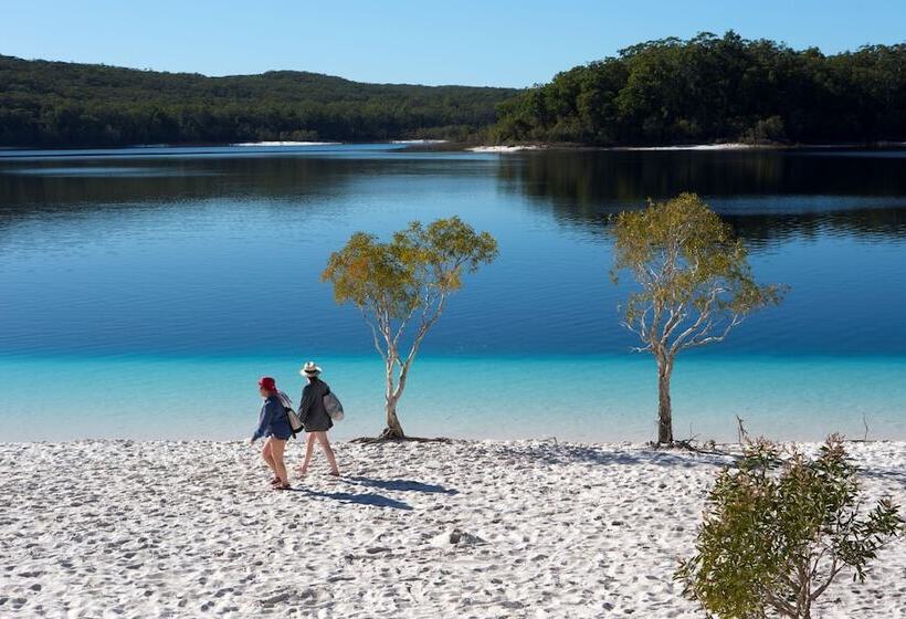 בית מלון כפרי Woolshed Eco Lodge