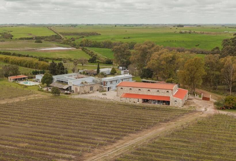 Carmelo Resort & Spa