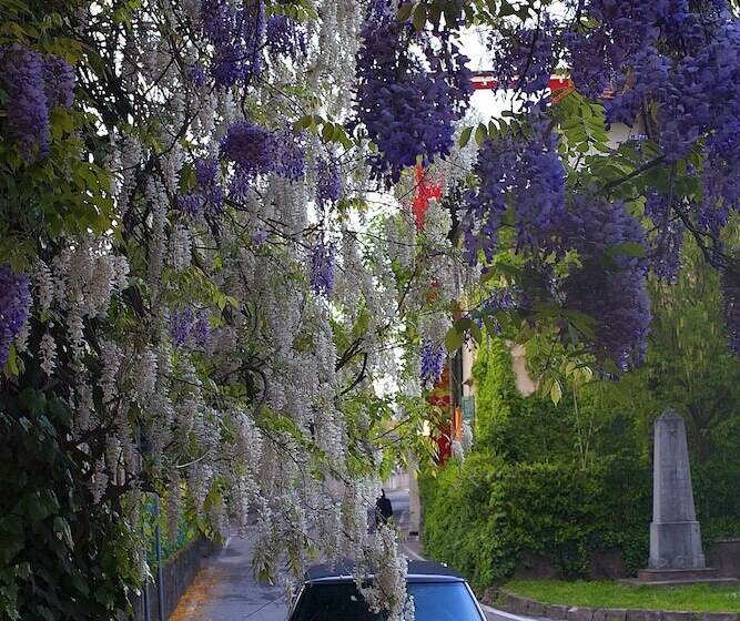 호텔 Albergo Ristorante Madonnina