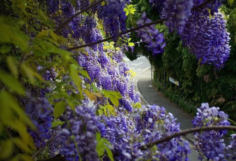 호텔 Albergo Ristorante Madonnina