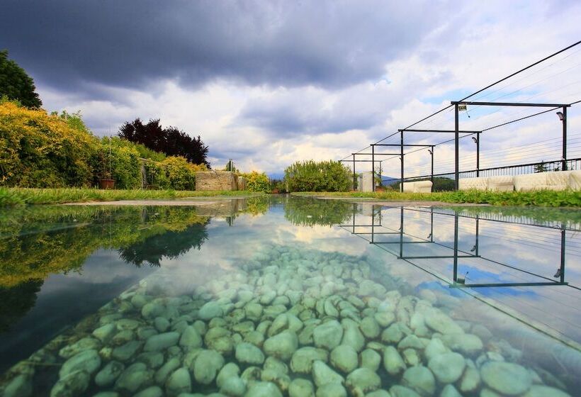 호텔 Albergo Ristorante Madonnina