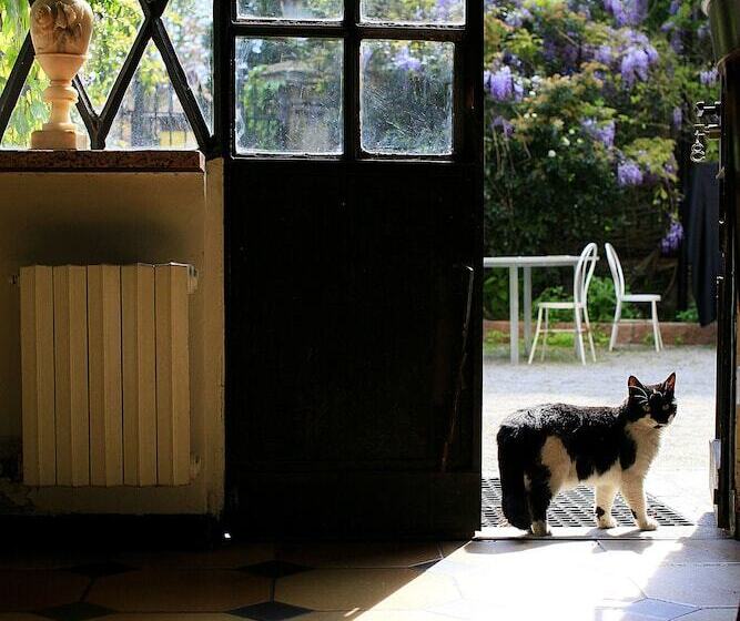 호텔 Albergo Ristorante Madonnina