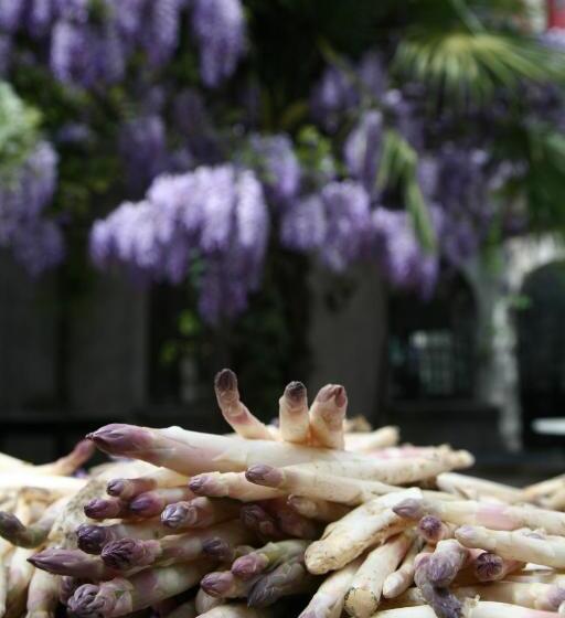 호텔 Albergo Ristorante Madonnina