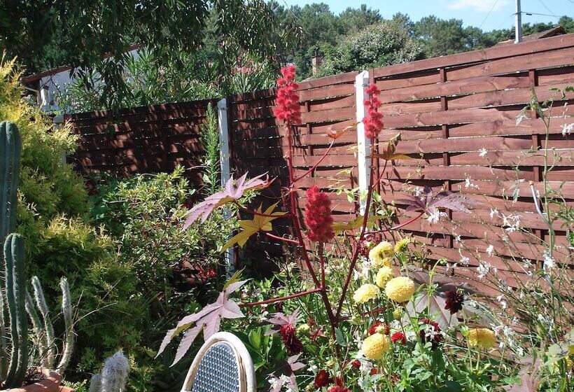 Отель Atlantis Hôtel