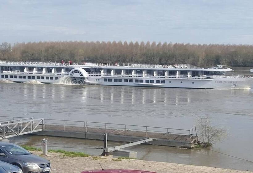 호텔 Auberge De La Loire