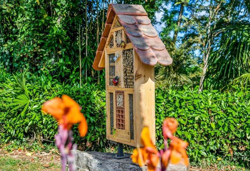 בית מלון כפרי Aux Tauzins