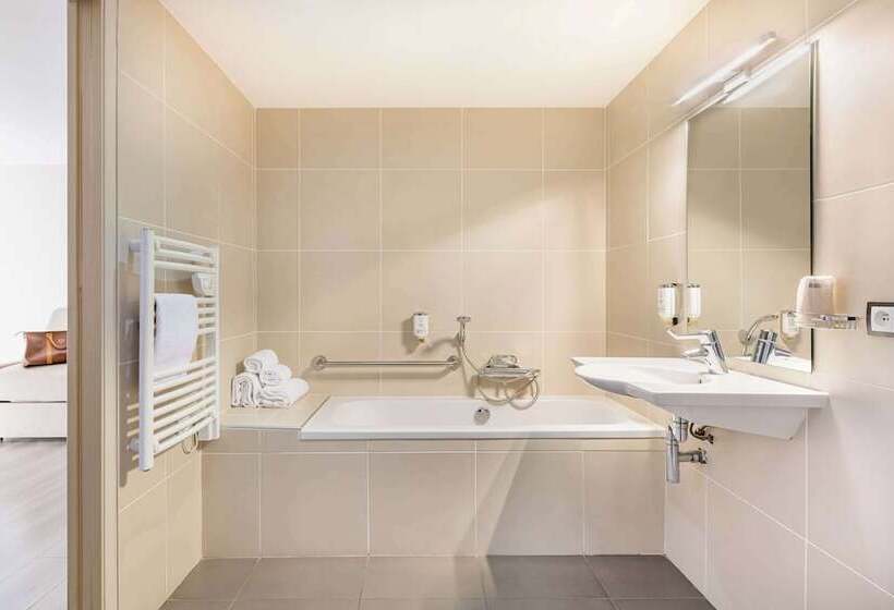 בית מלון כפרי Best Western Hôtel Des Barolles   Lyon Sud