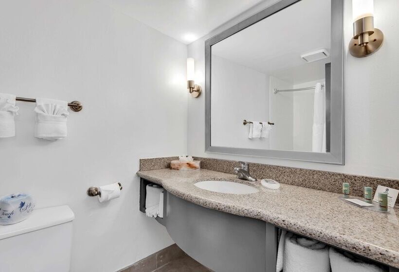 هتل Best Western Orlando Gateway