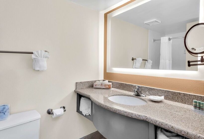 هتل Best Western Orlando Gateway