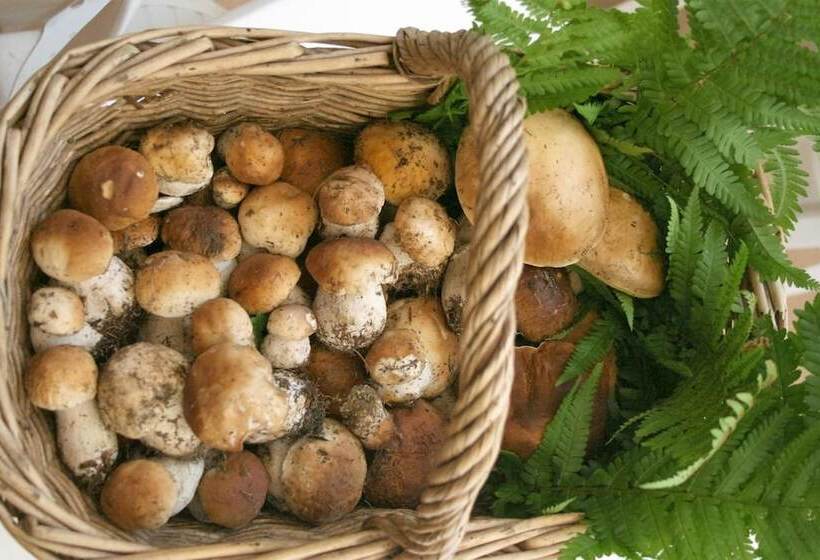 בית מלון כפרי Centro