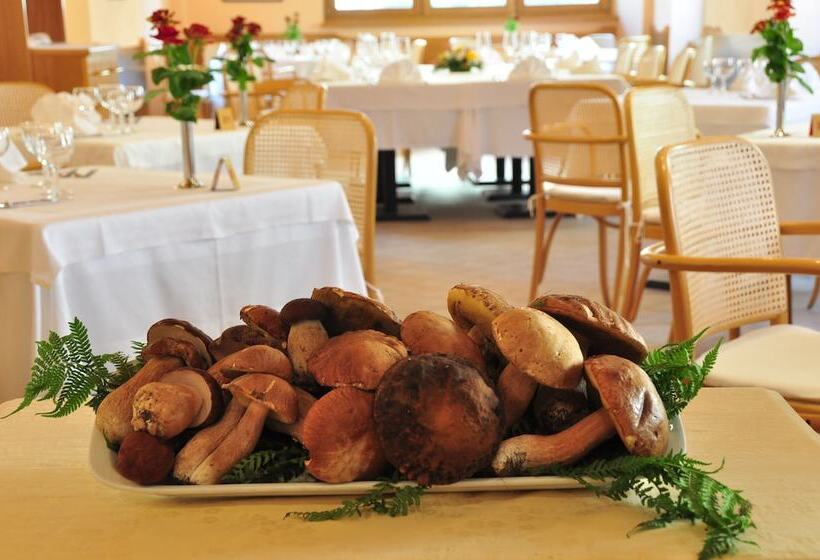 בית מלון כפרי Centro