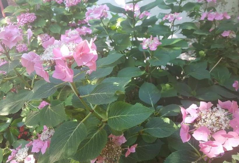 فندق Le Cheval Rouge