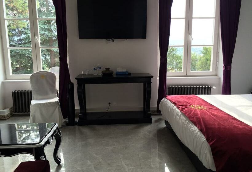 בית מלון כפרי Château Nevers