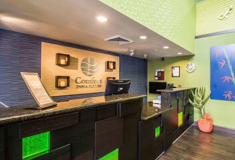 فندق Comfort Inn & Suites Lantana   West Palm Beach South