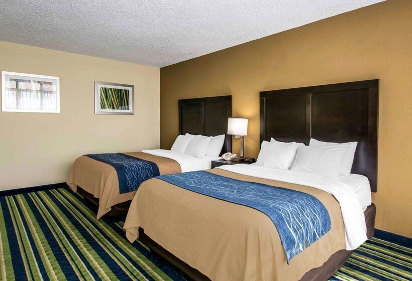 فندق Comfort Inn & Suites Lantana   West Palm Beach South