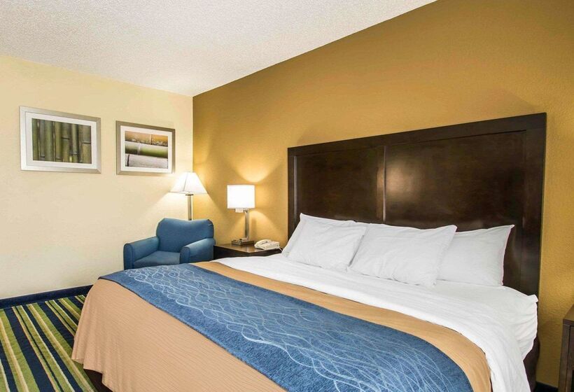 فندق Comfort Inn & Suites Lantana   West Palm Beach South