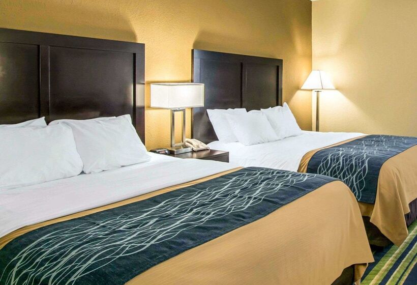 فندق Comfort Inn & Suites Lantana   West Palm Beach South