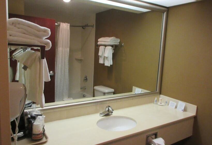 فندق Comfort Inn & Suites Lantana   West Palm Beach South