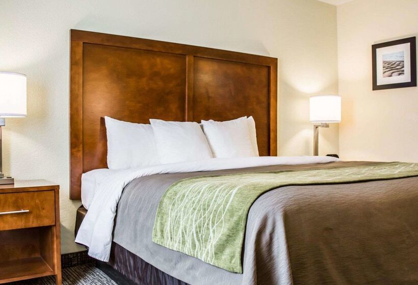 فندق Comfort Inn Fort Myers Northeast