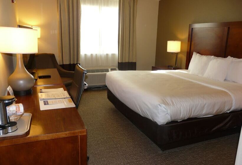 فندق Comfort Inn Fort Myers Northeast