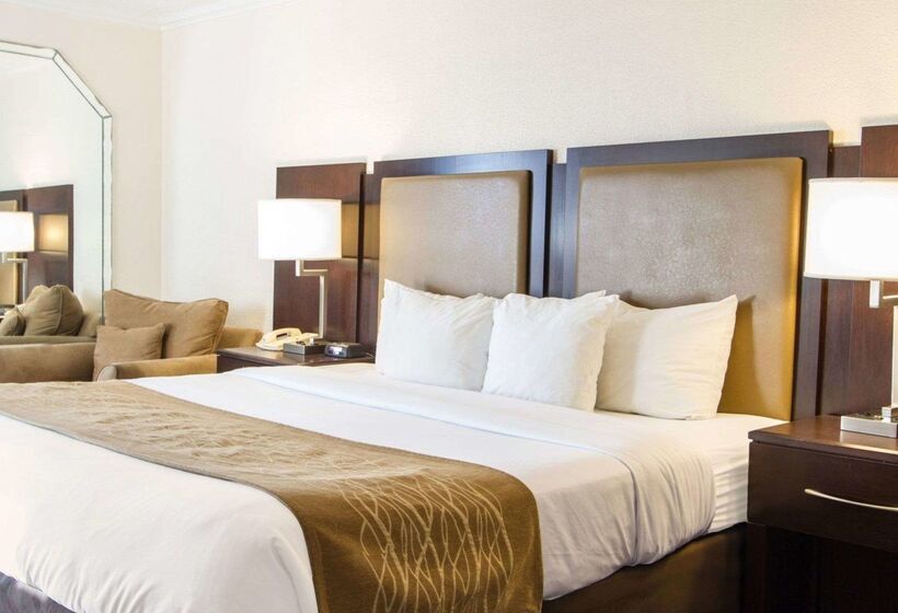 فندق Comfort Inn Oceanside Deerfield Beach