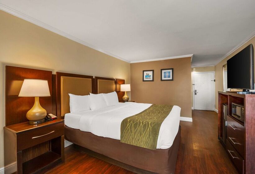 فندق Comfort Inn Oceanside Deerfield Beach
