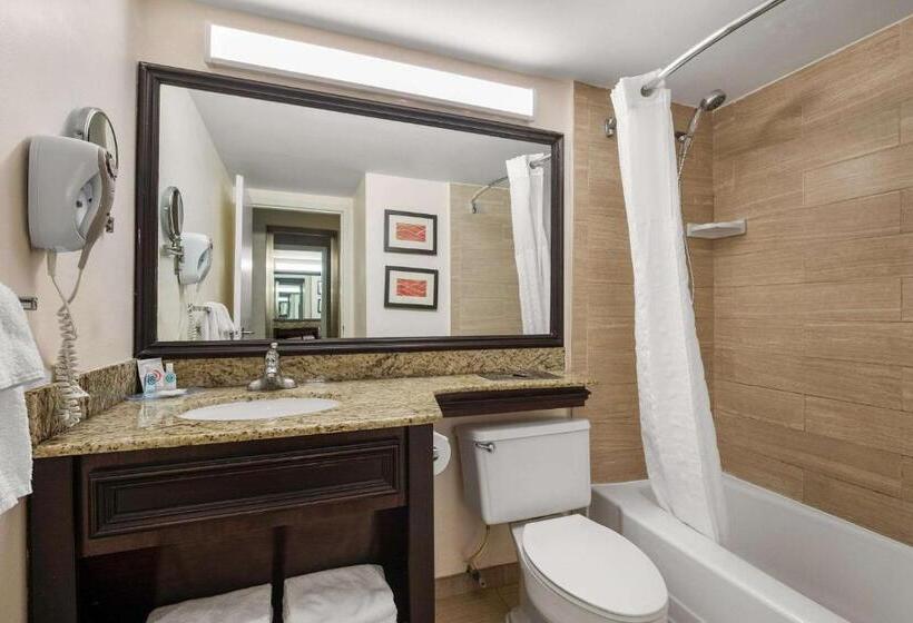 فندق Comfort Inn Oceanside Deerfield Beach