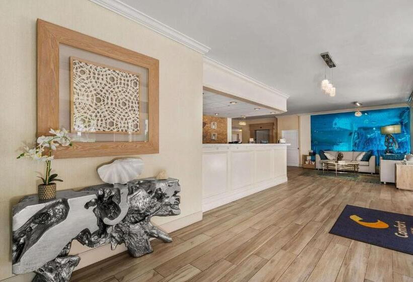 فندق Comfort Inn Oceanside Deerfield Beach