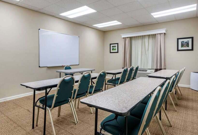 فندق Comfort Inn & Suites Deland  Near University