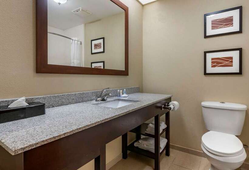 בית מלון כפרי Comfort Inn & Suites Deland  Near University