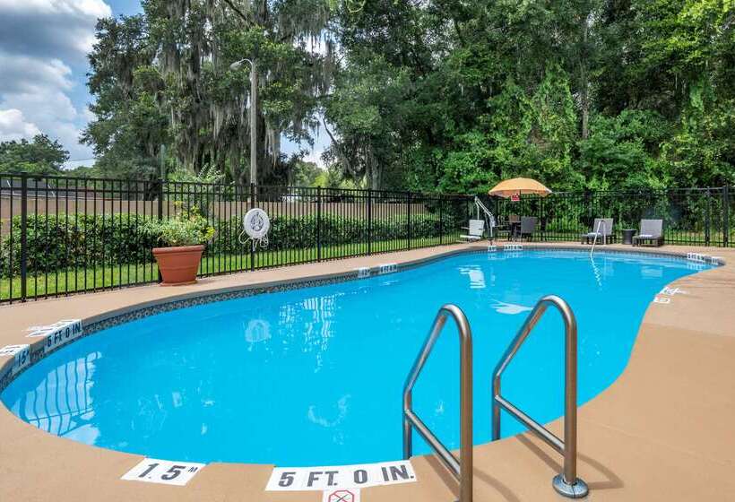 בית מלון כפרי Comfort Inn & Suites Deland  Near University