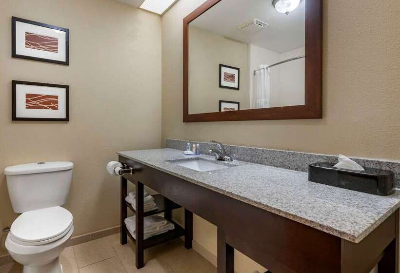 فندق Comfort Inn & Suites Deland  Near University