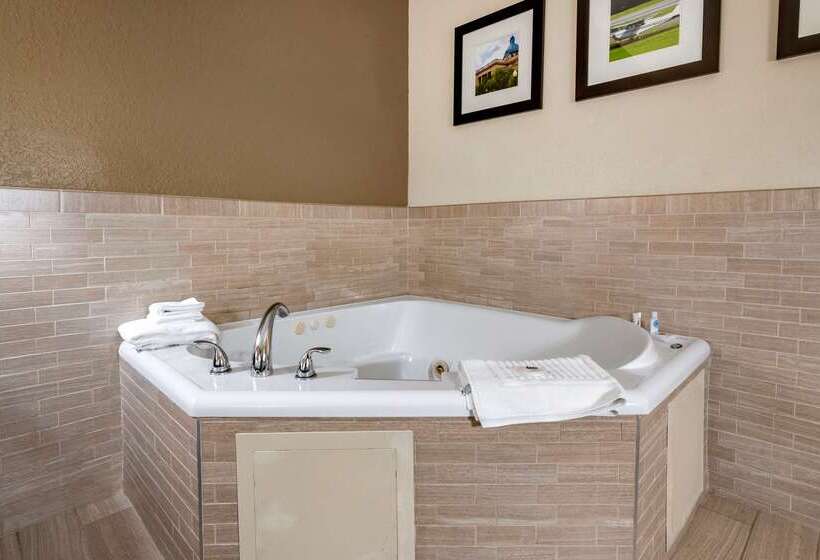 בית מלון כפרי Comfort Inn & Suites Deland  Near University