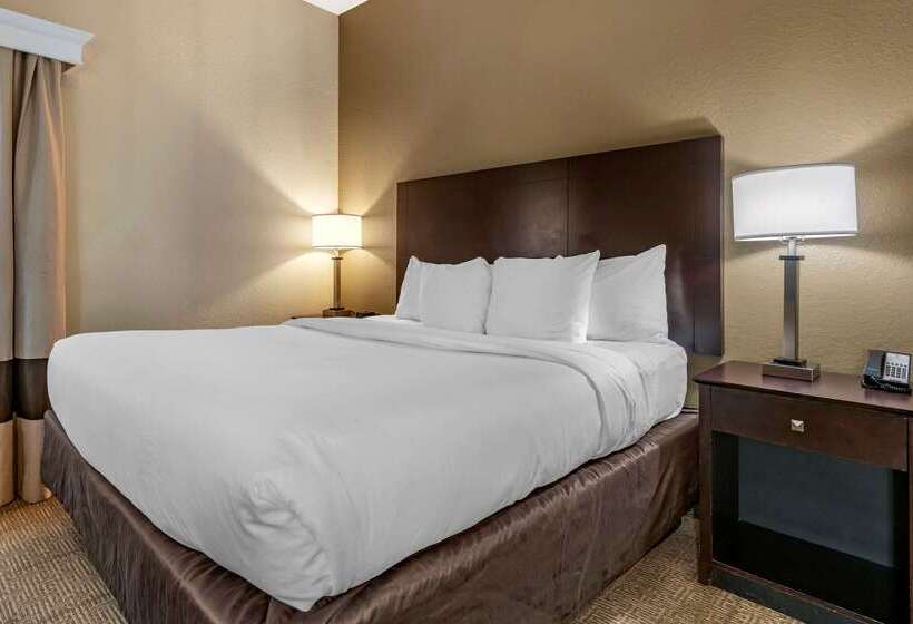 فندق Comfort Inn & Suites Deland  Near University
