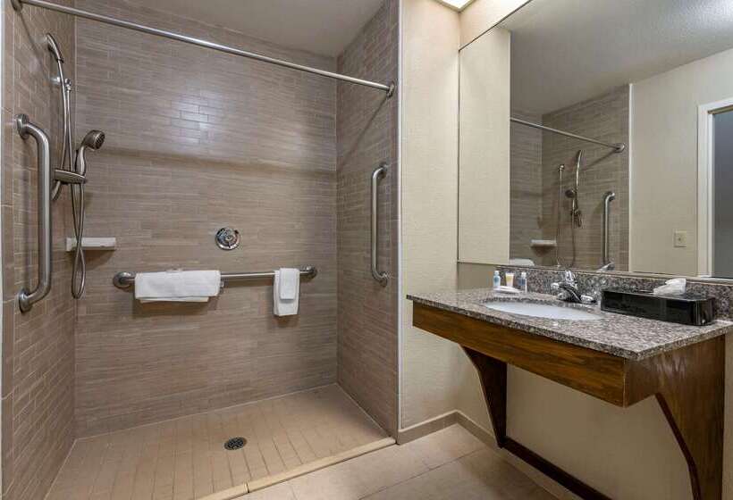 فندق Comfort Inn & Suites Deland  Near University