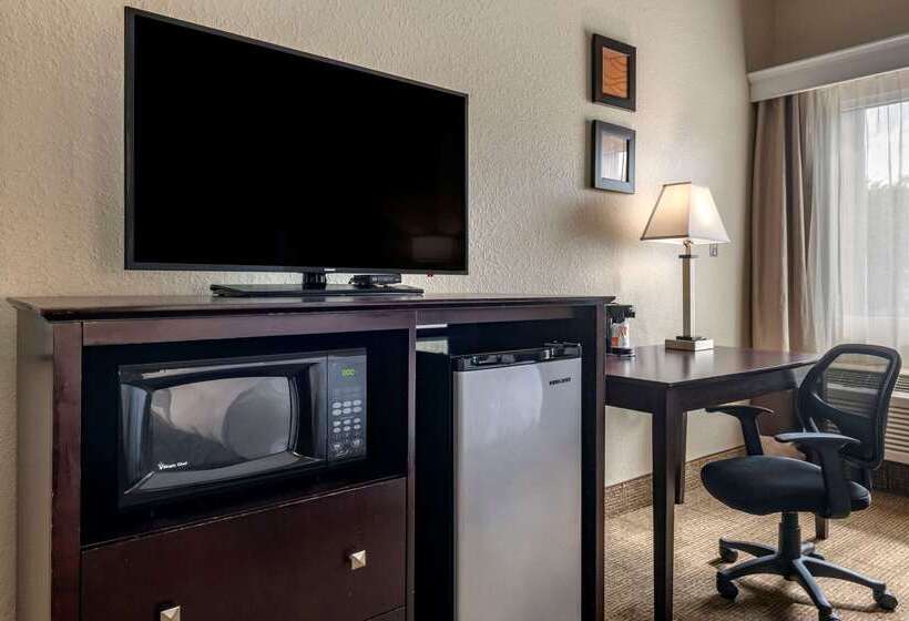 בית מלון כפרי Comfort Inn & Suites Deland  Near University