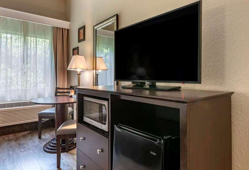 فندق Comfort Inn & Suites Deland  Near University