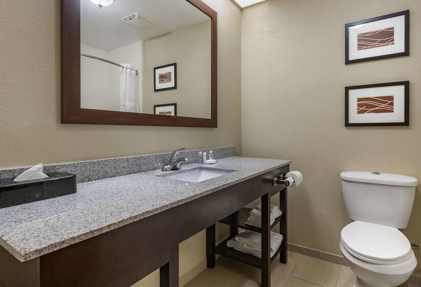 فندق Comfort Inn & Suites Deland  Near University