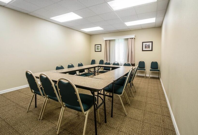 בית מלון כפרי Comfort Inn & Suites Deland  Near University
