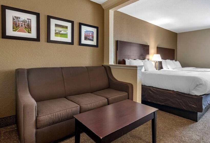 בית מלון כפרי Comfort Inn & Suites Deland  Near University