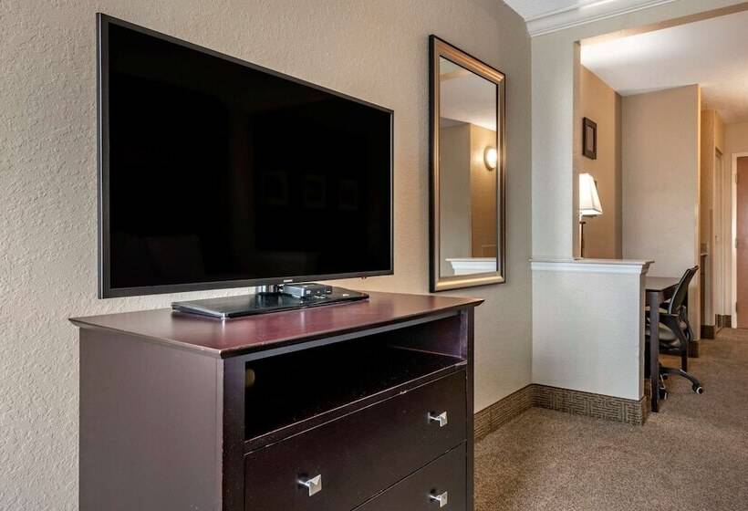 בית מלון כפרי Comfort Inn & Suites Deland  Near University