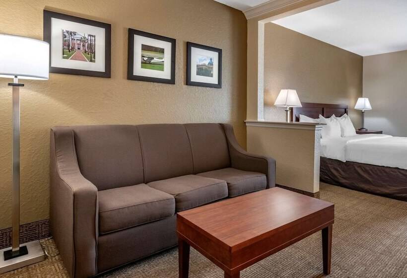 בית מלון כפרי Comfort Inn & Suites Deland  Near University