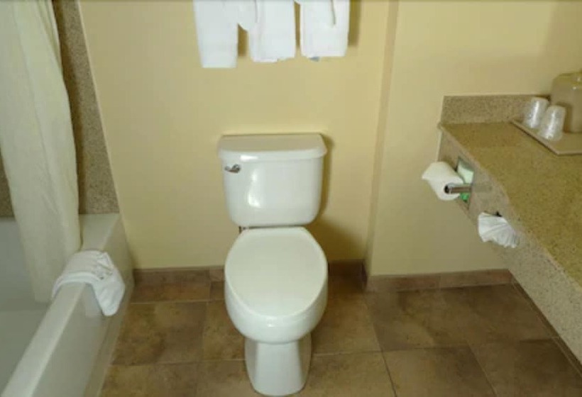 فندق Comfort Inn & Suites Jupiter I95