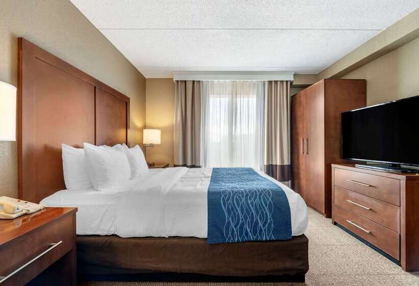 호텔 Comfort Inn & Suites Orlando North