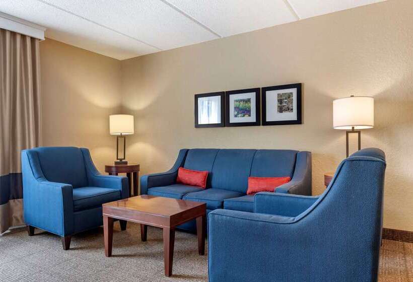 호텔 Comfort Inn & Suites Orlando North