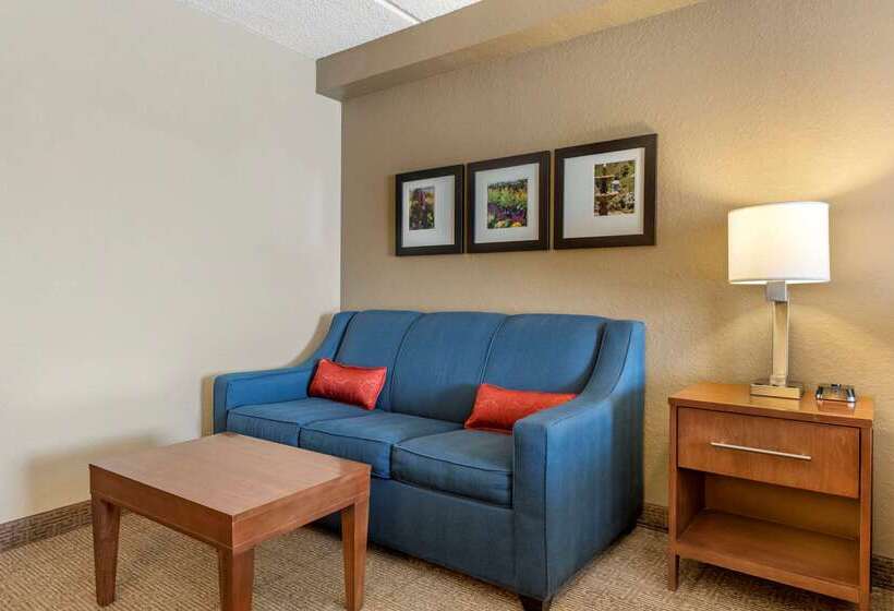 호텔 Comfort Inn & Suites Orlando North