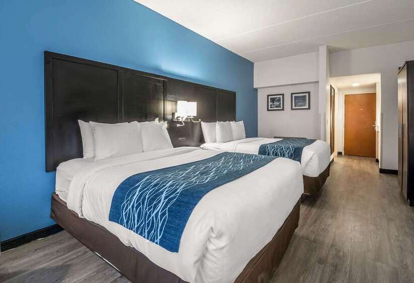 فندق Comfort Inn University