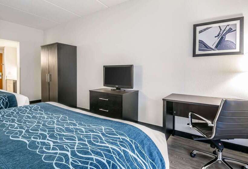 فندق Comfort Inn University