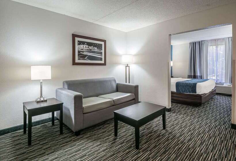 فندق Comfort Inn University